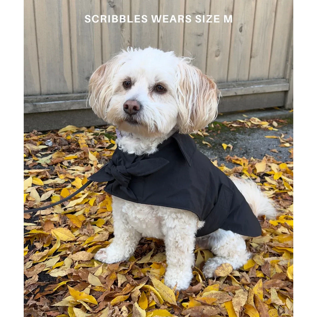 Toto Dog Rain Jacket - Image 3