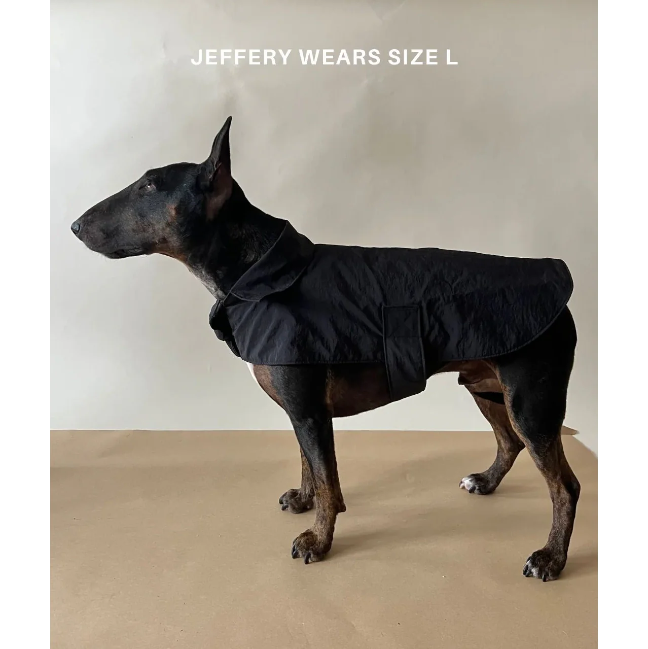 Toto Dog Rain Jacket - Image 4