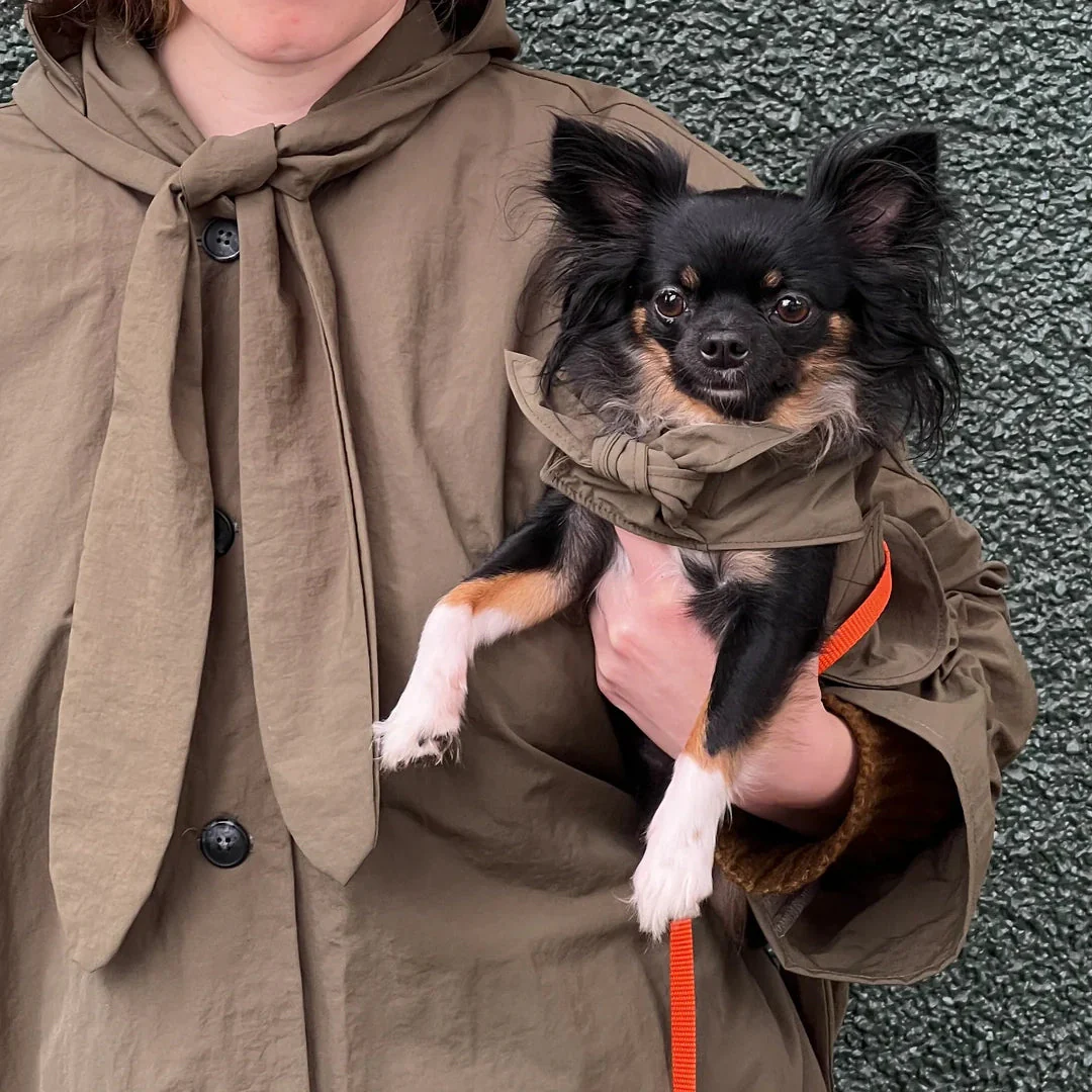 Toto Dog Rain Jacket - Image 6
