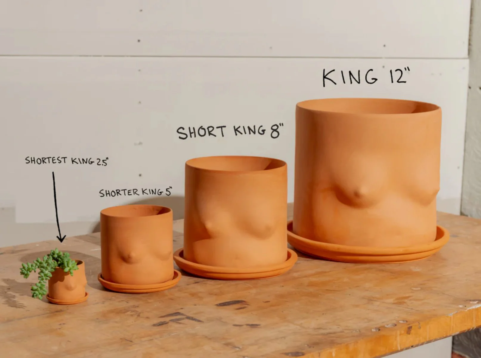 Terracotta Top Pots - Image 5