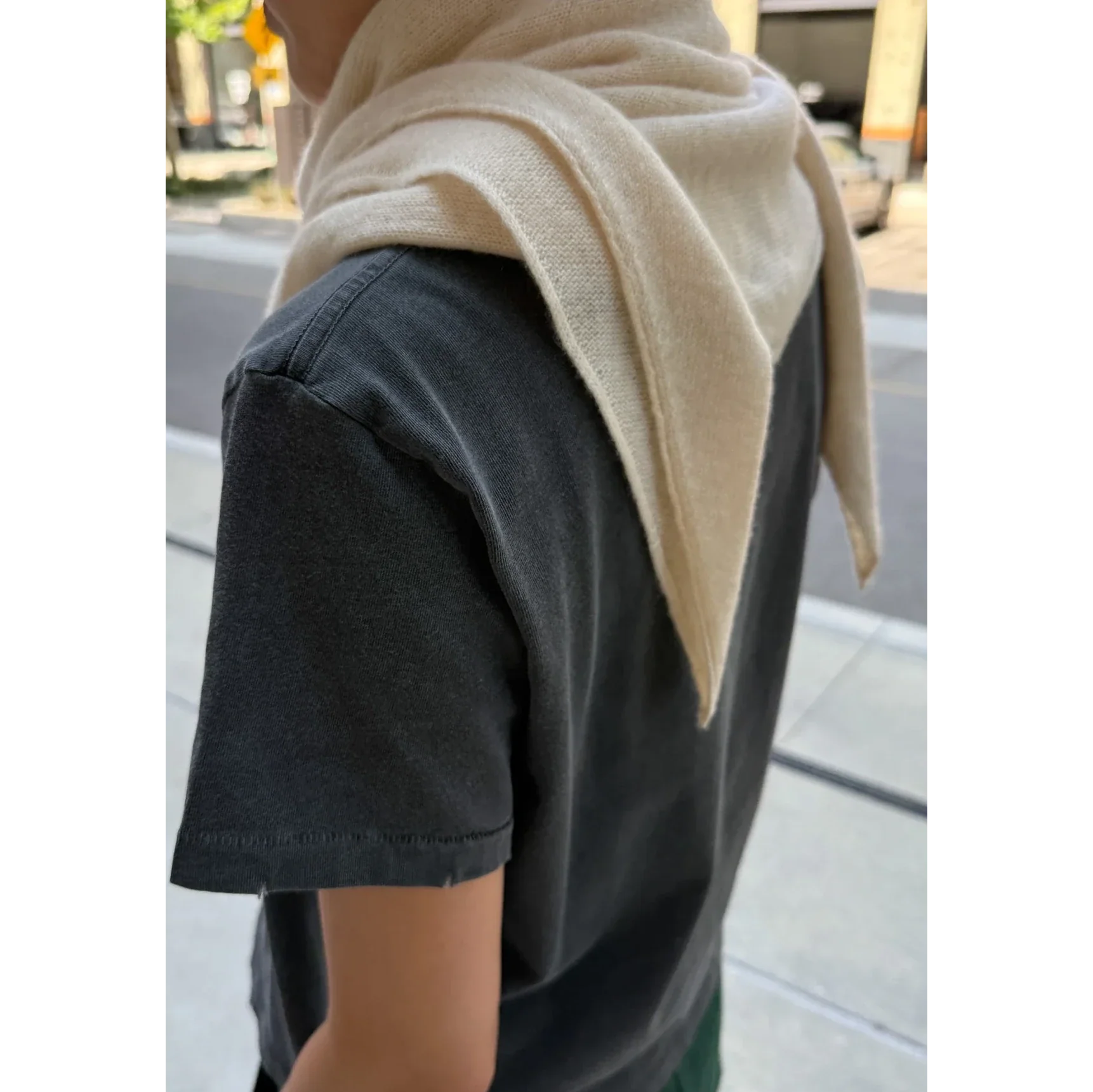 Cashmere Shawl - Image 7