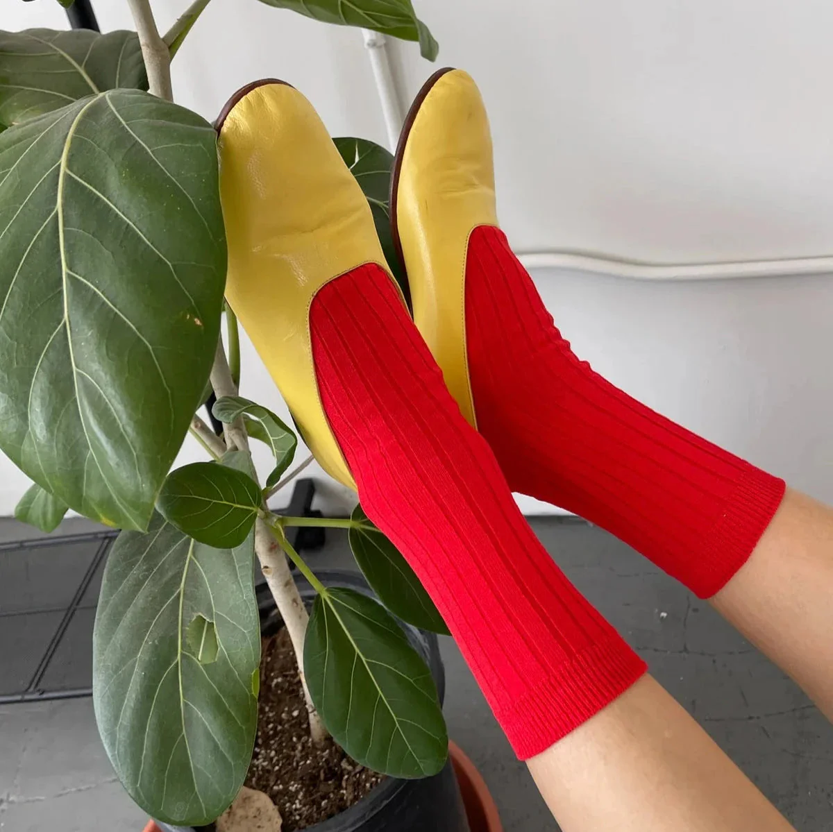 Her Socks - Image 21